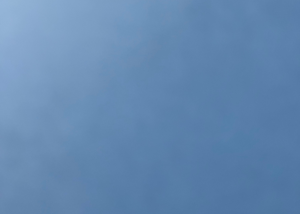 Small hanging flowers - pastel