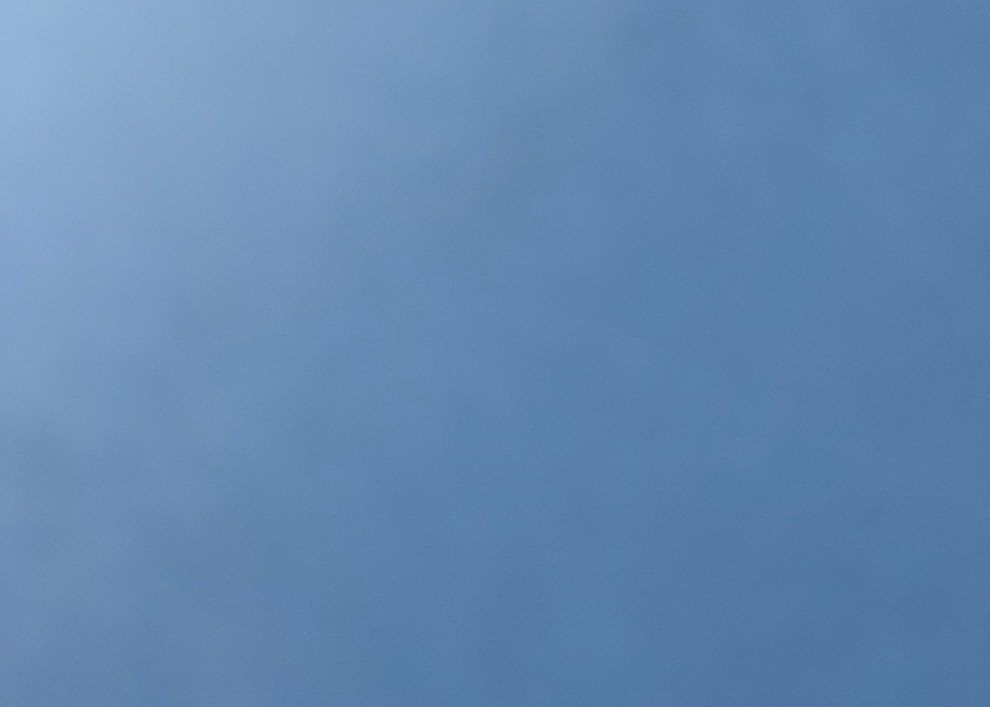 Princess Mystery - Assorted princess themed flowers