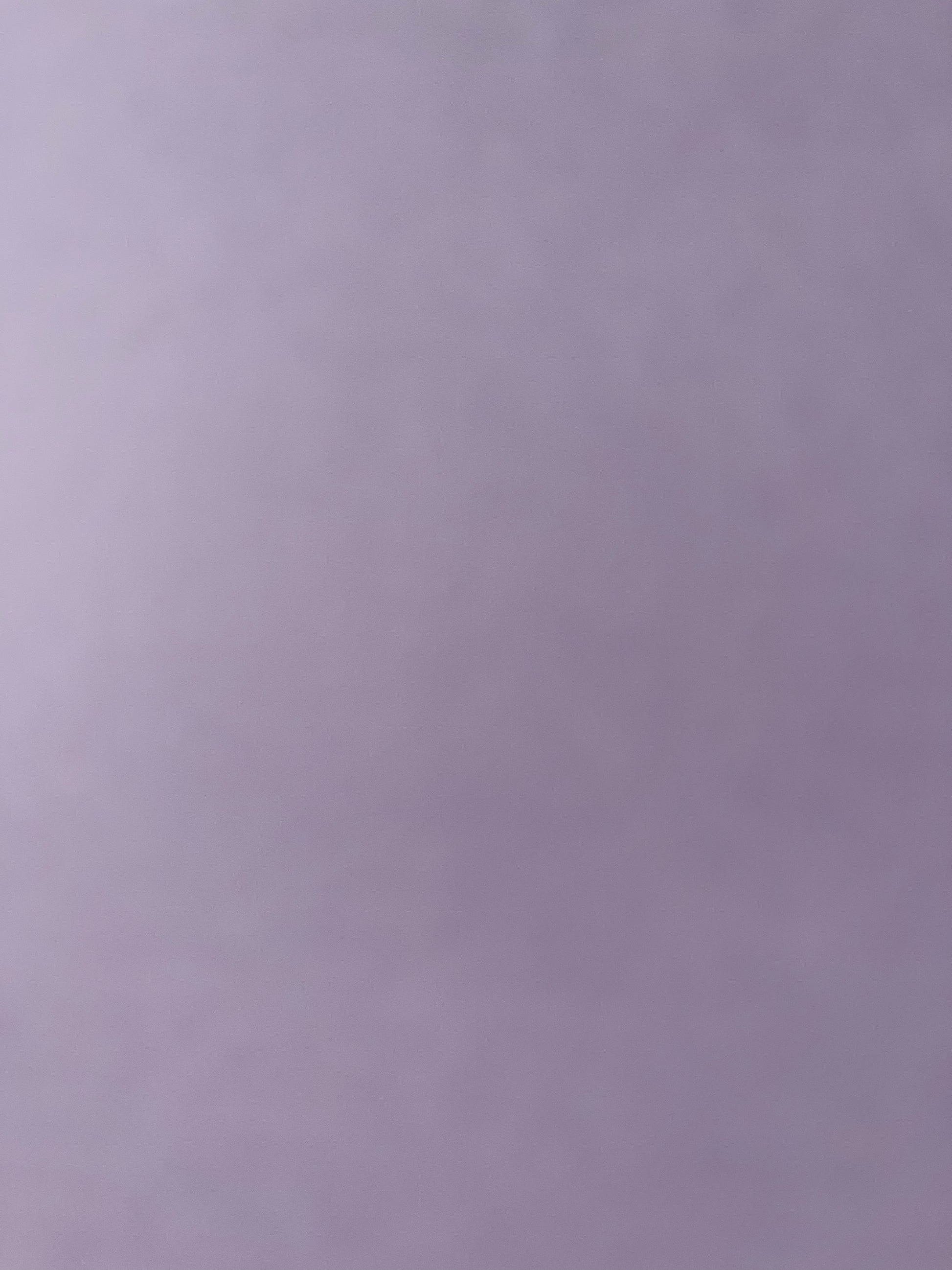 Princess Mystery - Assorted princess themed flowers