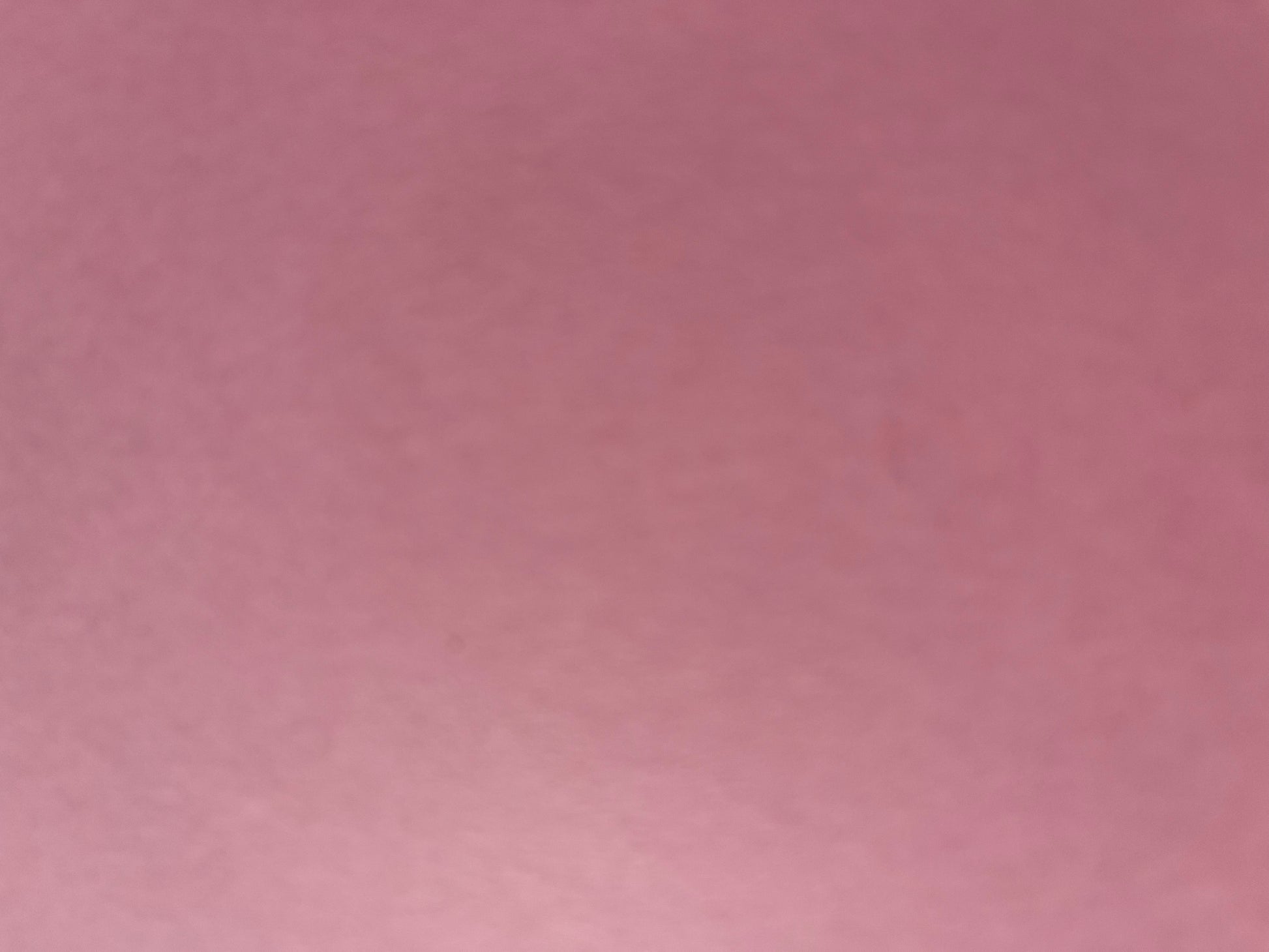 Princess Mystery - Assorted princess themed flowers