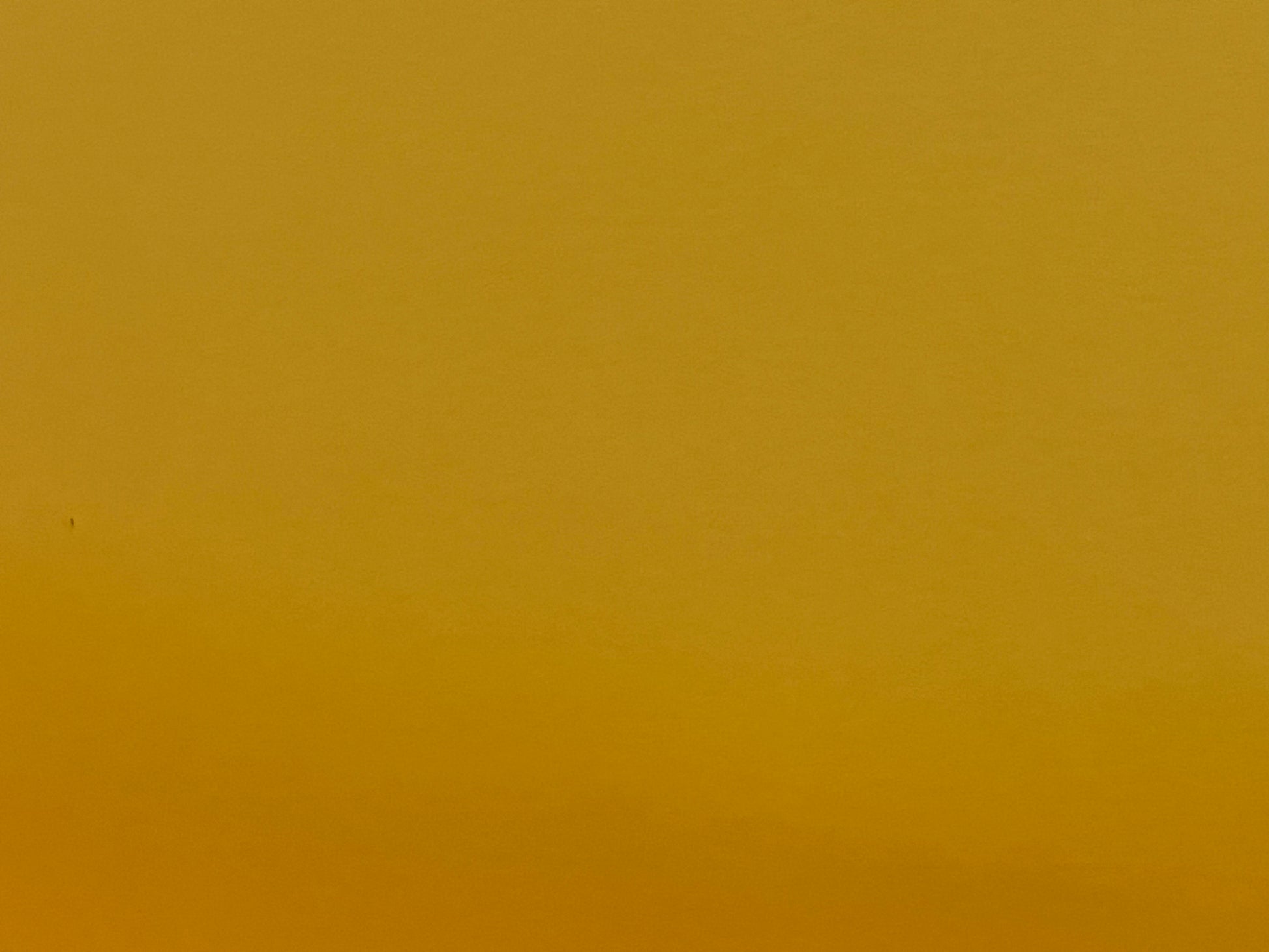 Small flowers - Solid Colours - Random mix