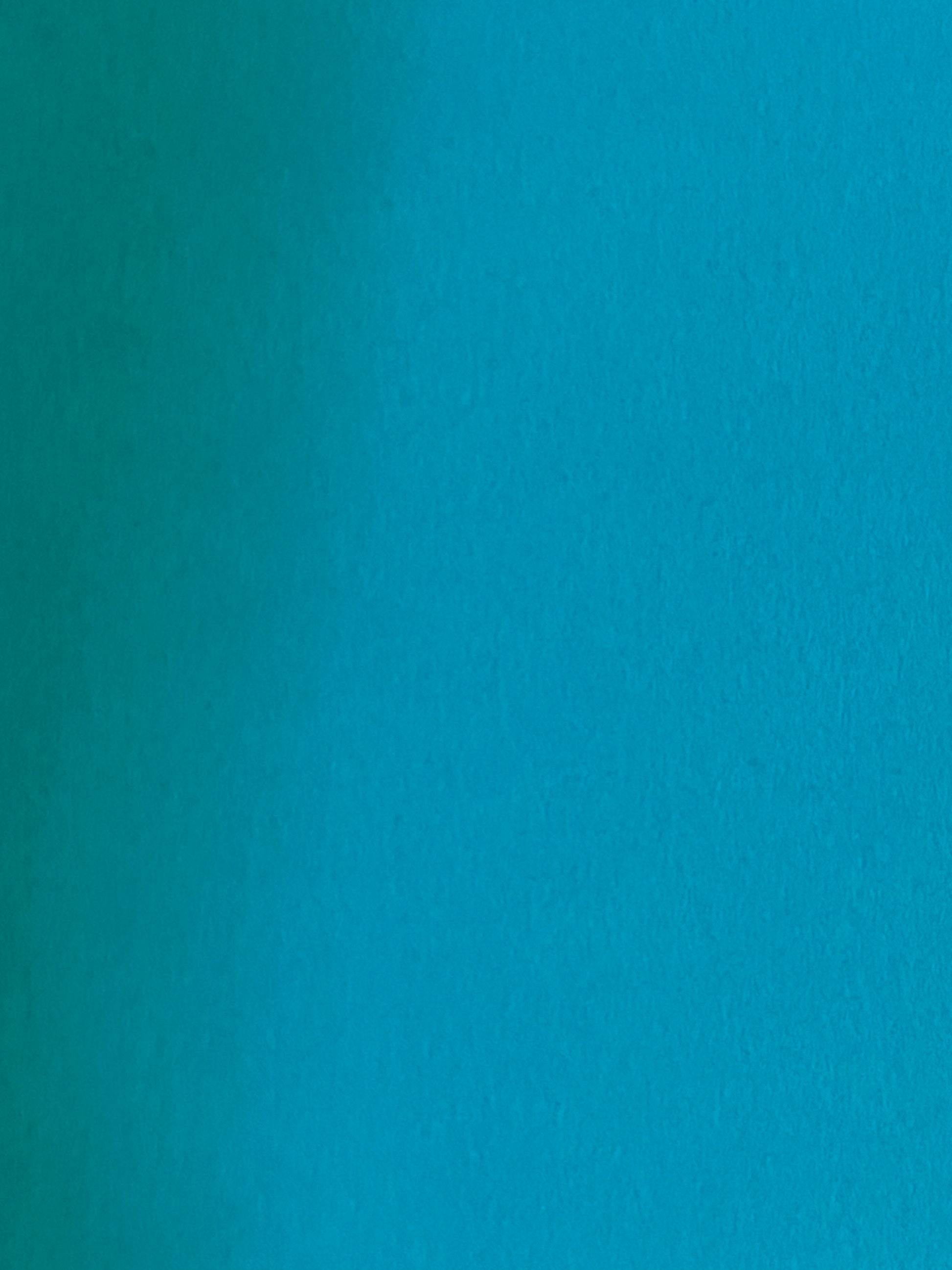 Small flowers - Solid Colours - Random mix